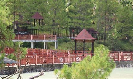Hutan pinus Lahendong