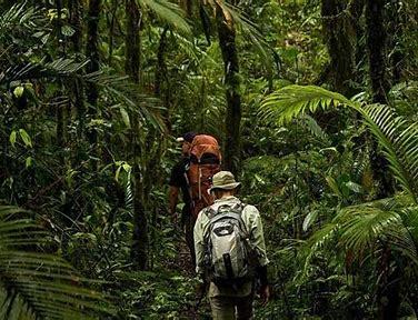 Tangkoko National Park